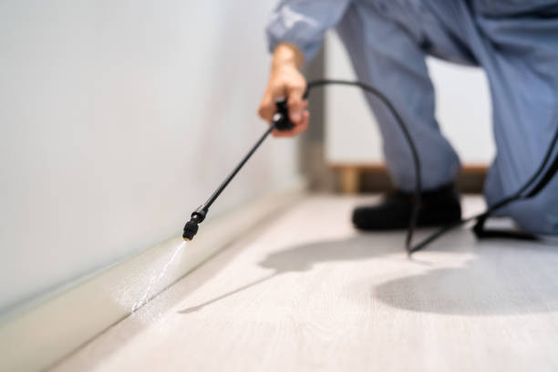 Licensed Pest Control service in Cedar Bluff, VA - Show Me Pest Control