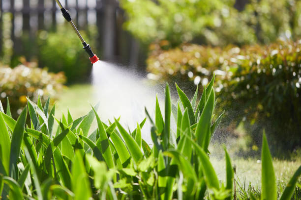 Tamper-Resistant Bait Stations for Rodents in Cedar Bluff
