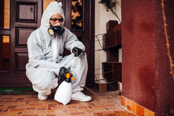 Attic and Crawl Space Rodent Treatment in Cedar Bluff