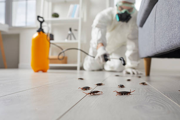 Commercial Rodent Management in Cedar Bluff